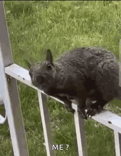Moi Me GIF