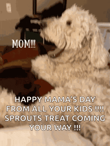 Mom Golden Doodle GIF