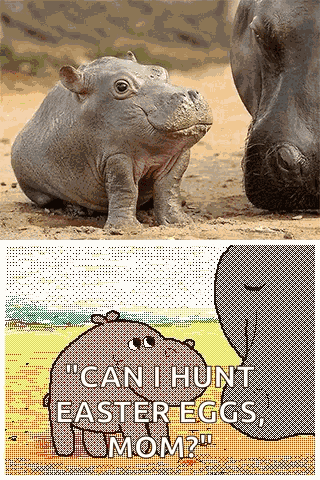 Mom Hippo GIF