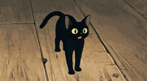 Momiji Momiji Cat GIF