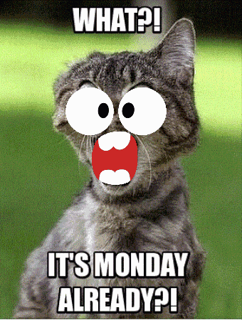 Monday Already Monday Again GIF