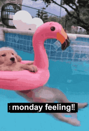 Monday Feeling GIF