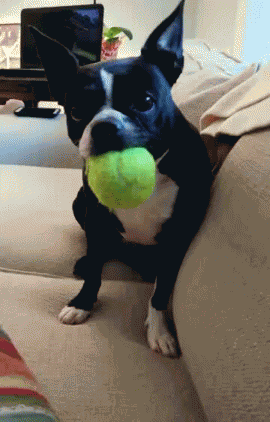 Monday Funday GIF