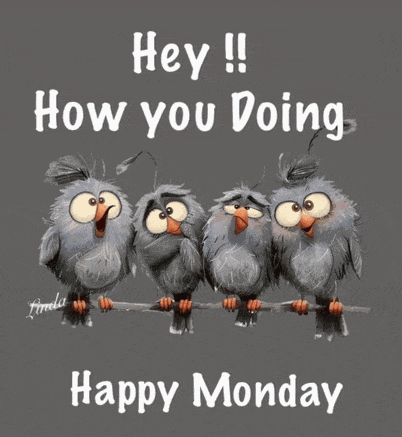 Monday Good Morning Monday Meme