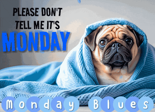 Monday Monday Blues GIF