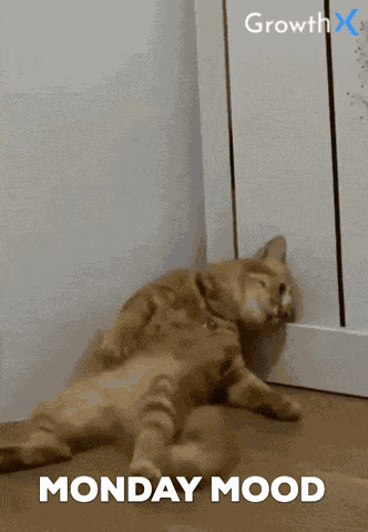 Monday Mood GIF