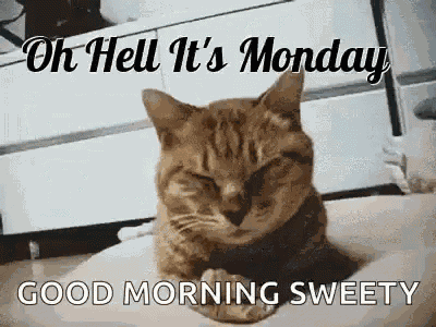 Monday Oh Hell Its Monday GIF