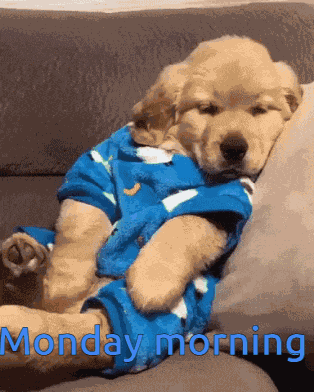 Monday GIF