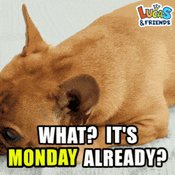 Monday Weekday GIF