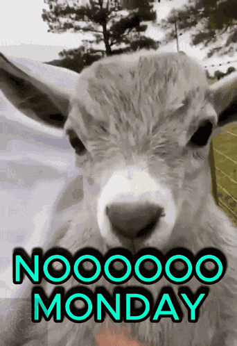 Mondays Monday Sucks GIF