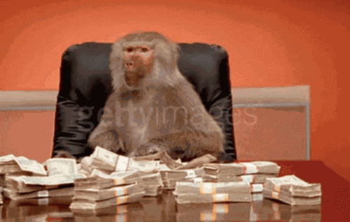 Money Monkey GIF