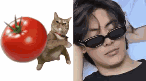 Mongers Tomato GIF
