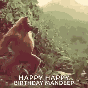 Monkey Ape GIF