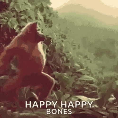 Monkey Ape GIF
