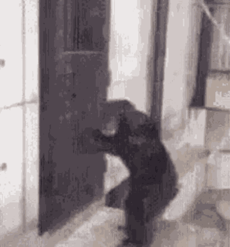 Monkey Banging On Cage GIF