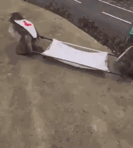 Monkey GIF