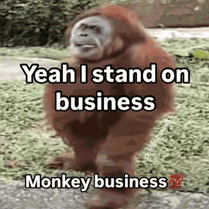 Monkey Business Meme