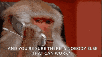 Monkey Business GIF