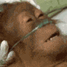 Monkey Coma Wriogifs GIF