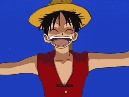 Monkey D Luffy One Piece GIF