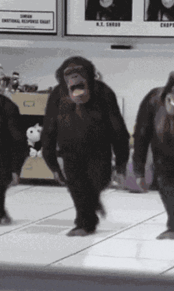 Monkey Dance Funny GIF