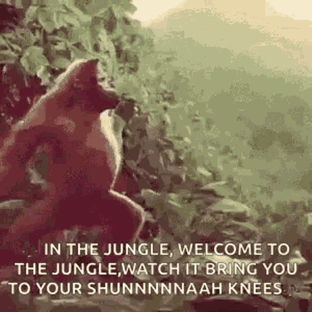 Monkey Dancing Monkey GIF