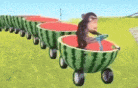 Monkey Funny GIF