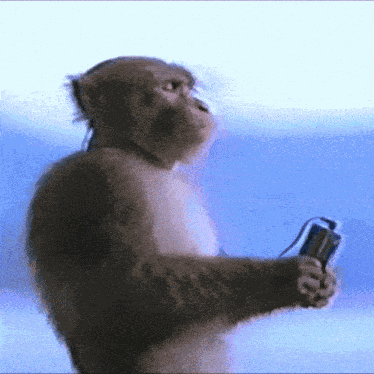 Monkey Listening GIF