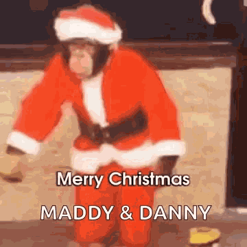 Monkey Merry Christmas GIF