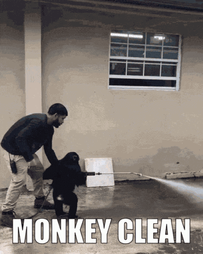 Monkey Monkey Gif GIF