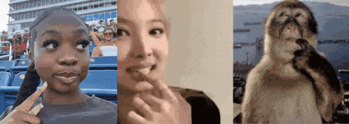 Monkey Nayeon GIF