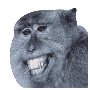 Monkey See Monkey Doo Meme