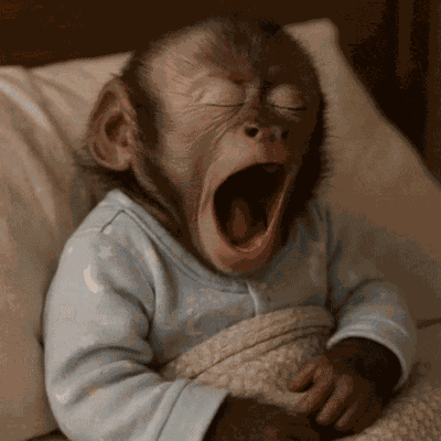 Monkey Yawn GIF