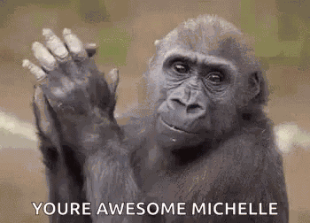 Monkey Youre Awesone Michelle GIF