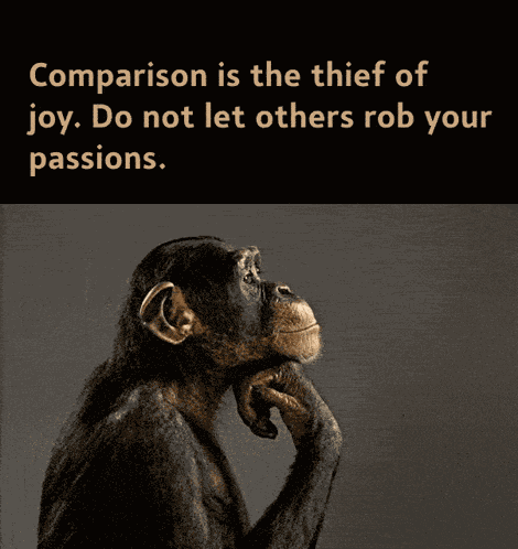 Monkeyquote Meme