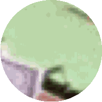 Monopoly Middle Finger Sticker