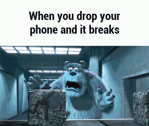 Monsters Inc Sully GIF