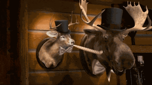 Montanas Party Blower GIF