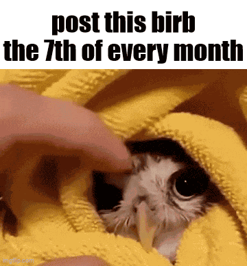 Monthly Essica GIF