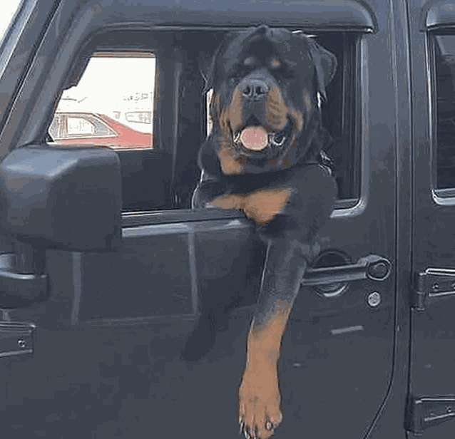 Monyo Monyoonyo Meme