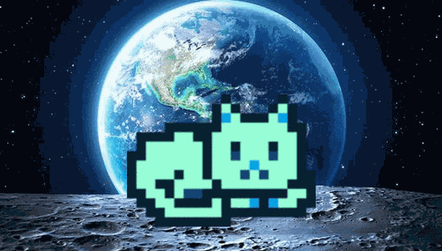 Mooncats Space GIF