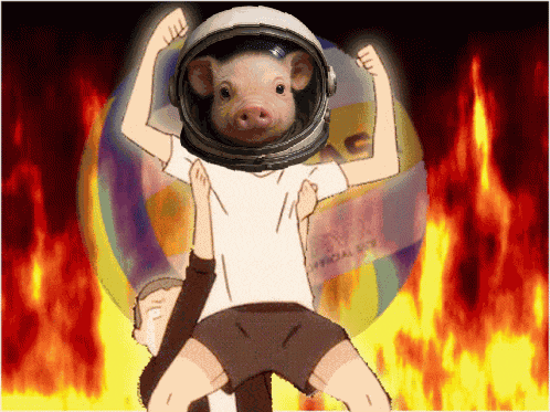 Moonpig GIF