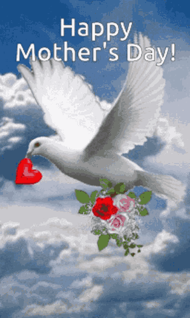 More Blessings On The Way GIF