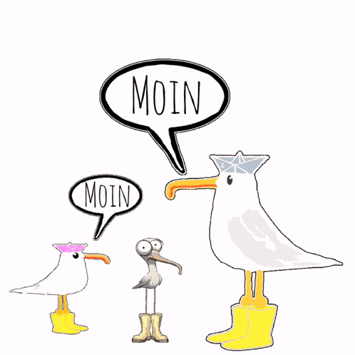 Morgen Moinsen GIF