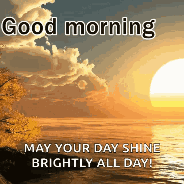 Morning Good Morning GIF