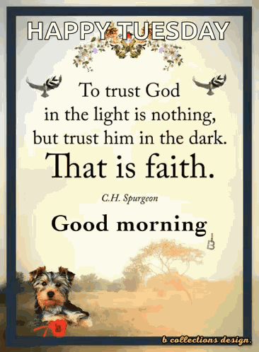 Morning Good Morning GIF