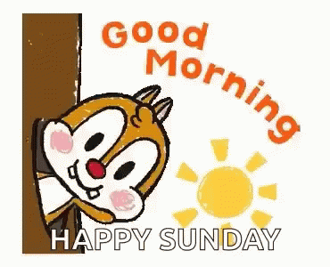 Morning Good Morning GIF