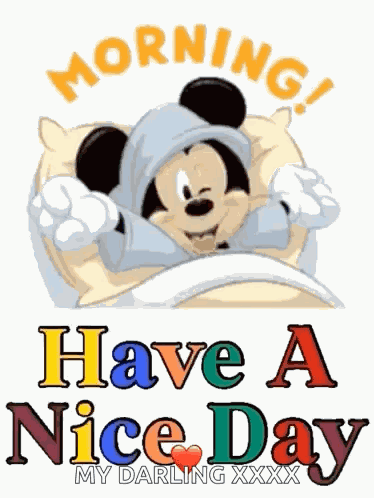 Morning Good Morning GIF