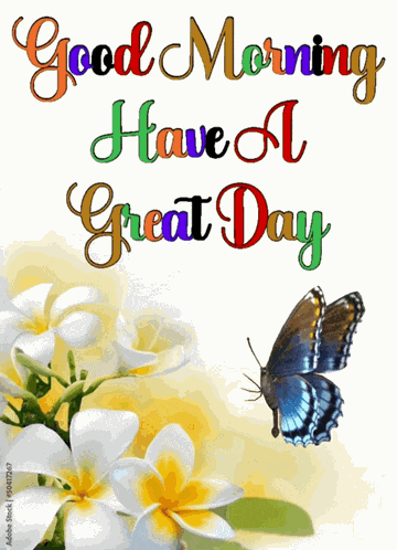 Morning Good Morning GIF