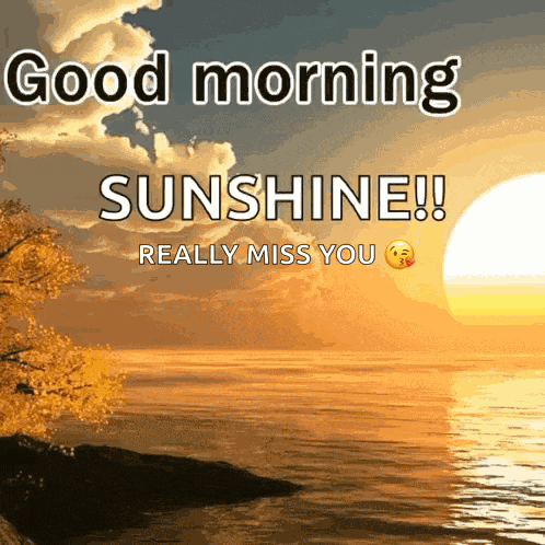 Morning Goodmorning GIF